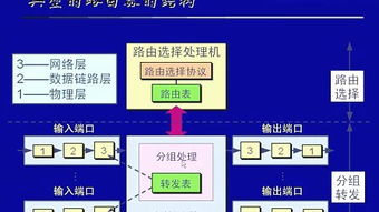 網絡工程師在網絡文化傳播中的角色與影響